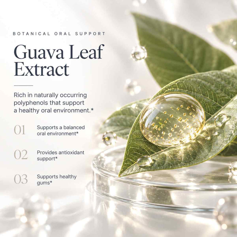 Guava Leaf Extract